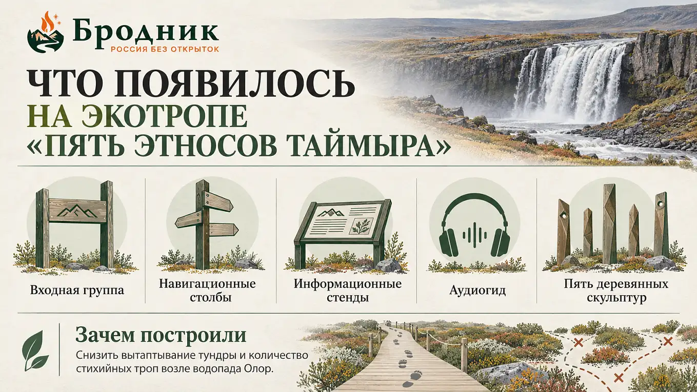 Инфографика с элементами новой экотропы: указатели, стенды, аудиогид, скульптуры и входная группа